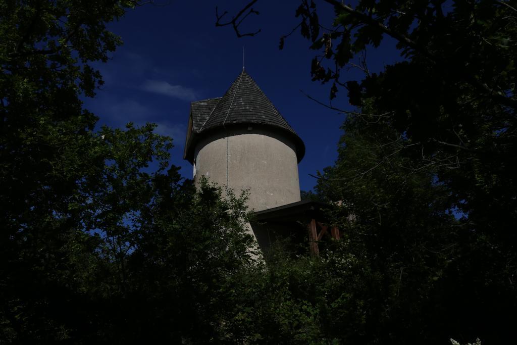 Moulin De Rouze Villa Castelnaud-de-Gratecambe Phòng bức ảnh